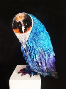 Chouette bleu céleste – Didier Auffret